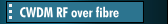 CWDM RF over fibre